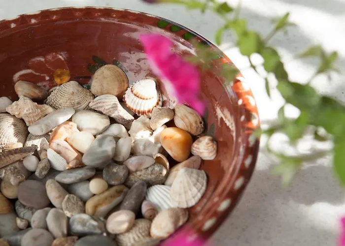 Klery - 5 Appartement